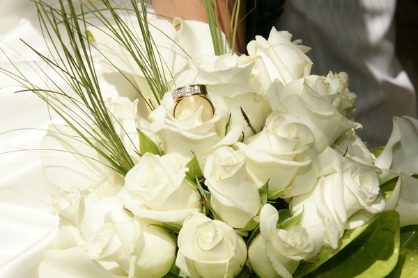 Все о белых розах — традиционная и современная трактовка