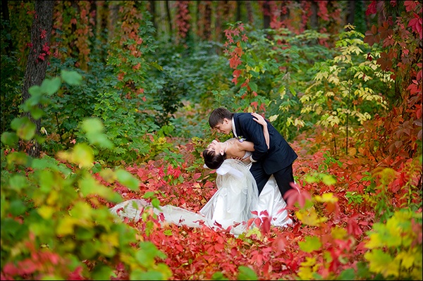 Осенние фото особенно ярки и выразительны. Фото с сайта les-foto.ru