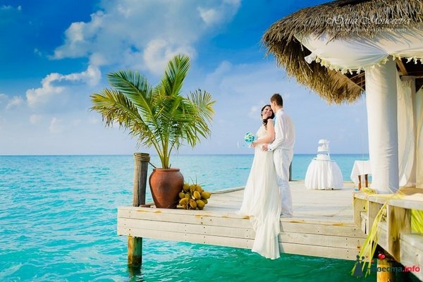 Мечты становятся реальностью — свадьба на островах. Фото с сайта www.viola-tour.ru