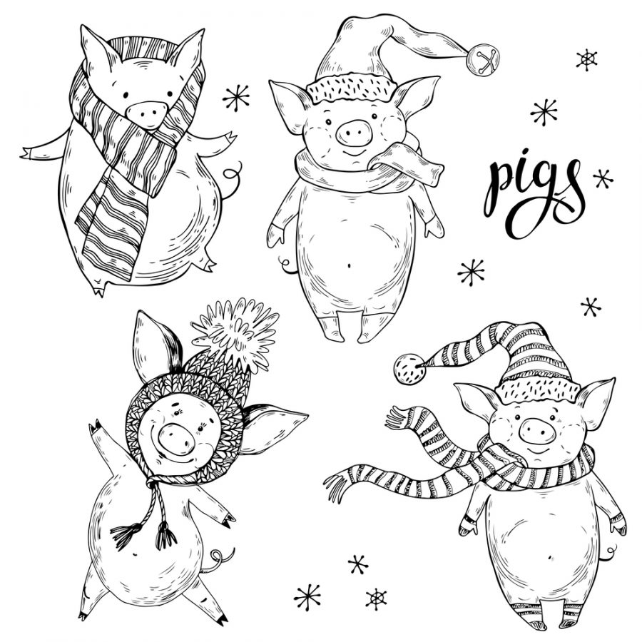 Коллекция новогодних раскрасок со свинками