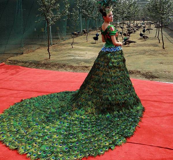 Платье из перьев павлина — великолепно! Фото с сайта http://womenspeaks.ru/